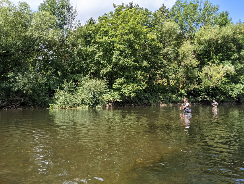 Anpflanzung und Pflege von Gehölzen am Gewässer