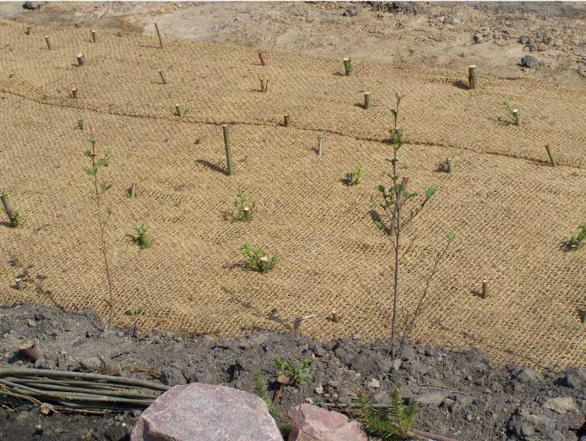 Regelwerk aktuell: Ingenieurbiologische Bauweisen Merkblattreihe DWA-M 620