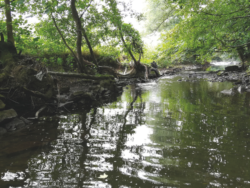 Erfurter Gespräche zur Wasserrahmenrichtlinie