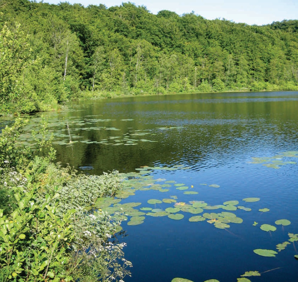 Gewässerstruktur - Kartierkurs (Zertifikat)