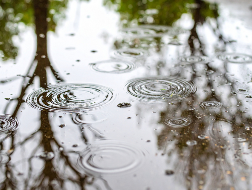 Perspektiven zum Niederschlagswassermanagement