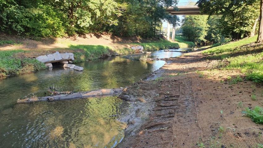 Gewässerdialog - Gewässerökologische Strukturmaßnahmen im urbanen Umfeld - Konzepte, Aufwand, Risiken
