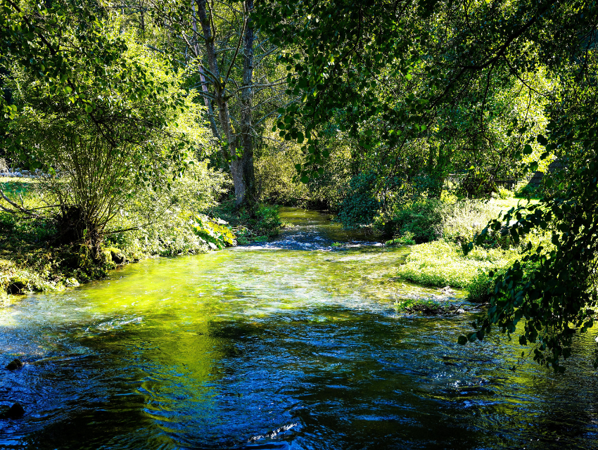GSB-Tage - Erfahrungsaustausch für Gewässerschutzbeauftragte
