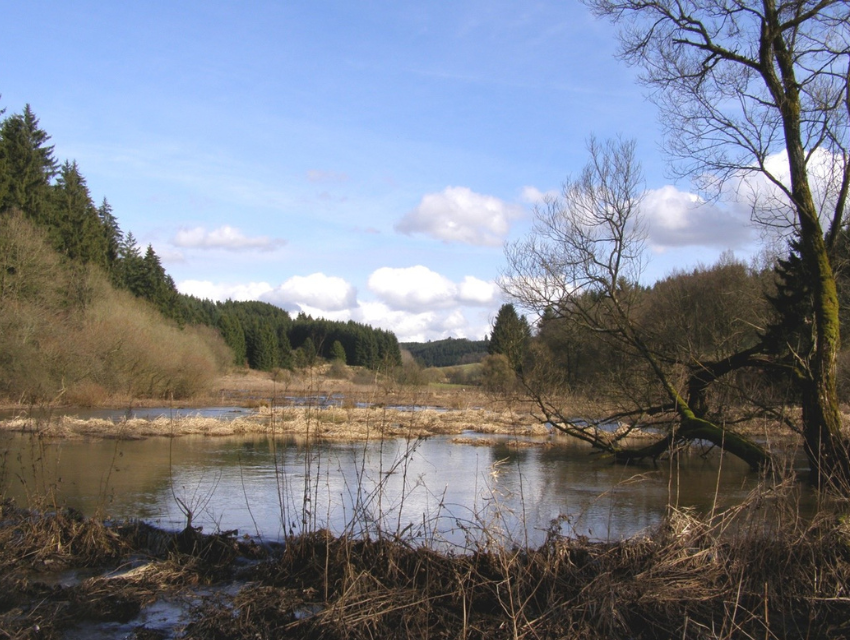 Wühltiere an Deichen, Dämmen und Ufern - Schutzmaßnahmen, Managementfragen, Auswirkungen auf Ökologie und Biodiversität