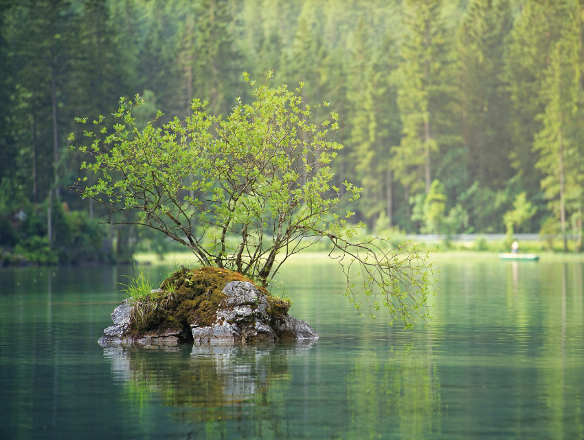 GewässerTag Region Köln/Bonn