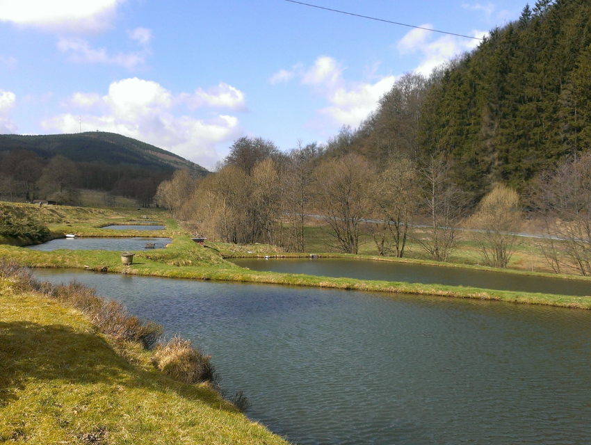 Hochwasserrückhaltebecken