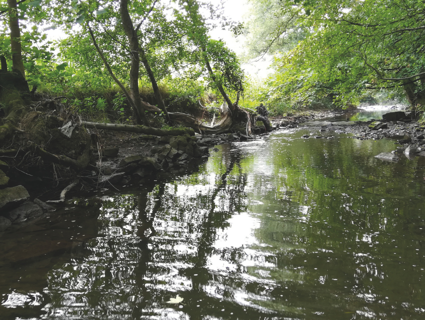 Erfurter Gespräche zur Wasserrahmenrichtlinie Erfurter Gespräche zur Wasserrahmenrichtlinie