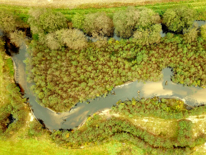 Web-Reihe zur Wasserrahmenrichtlinie - Herausforderungen in Zeiten des Klimawandels Web-Reihe zur Wasserrahmenrichtlinie - Herausforderungen in Zeiten des Klimawandels