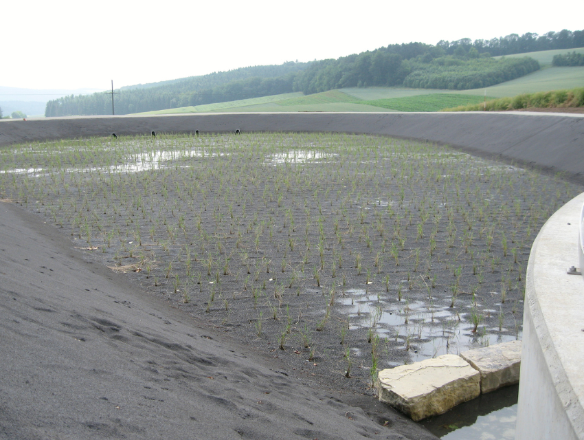 Retentionsbodenfilteranlagen: Das neue Merkblatt DWA-M 187 (Entwurf) und das Arbeitsblatt DWA-A 178