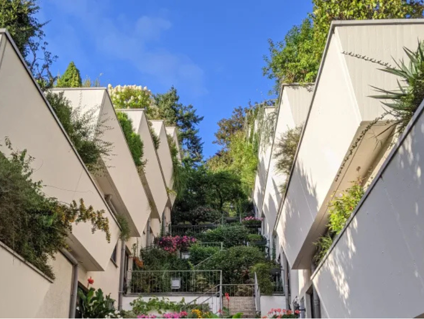 Kostenlose DWA-Online-Veranstaltung: Berliner Klimaanpassungsgesetz – Vom Volksentscheid zum blau-grünen Milliarden-Programm