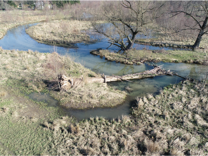 Tot-, Schwemm-,Schlüsselholz und Co. – Von Hochwasserschutz über Revitalisierung bis Gewässerunterhaltung