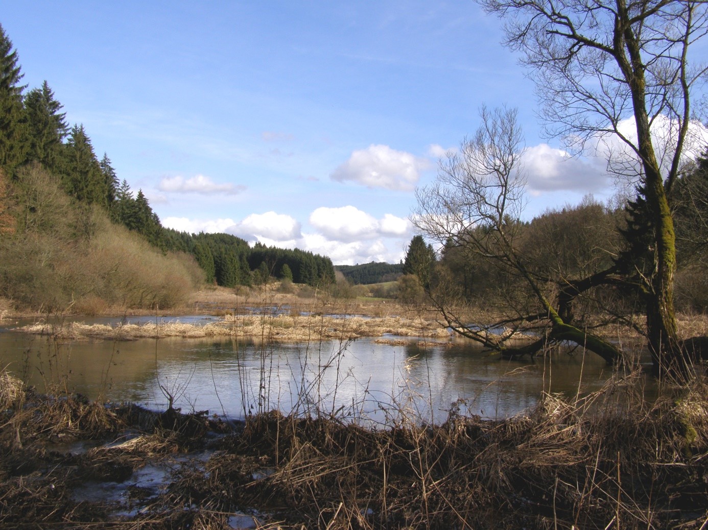 Wühltiere an Deichen, Dämmen und Ufern - Managementfragen, Ökologische Auswirkungen und Verbesserung der Biodiversität